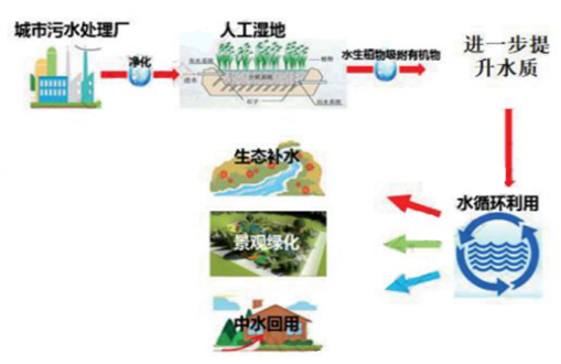 水污染防治专项申报表区域再生水循环利用