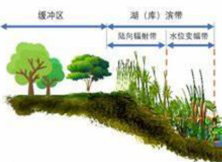 河湖生态缓冲带保护修复水污染专项资金