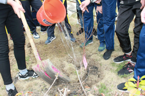 学校对于治理大气污染的措施有什么方法