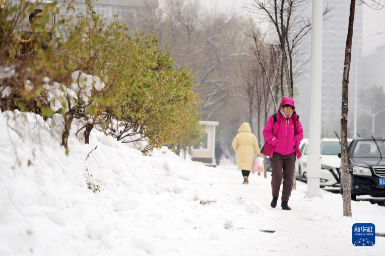 水污染防治专项申报流程分享新华网资讯-东北再迎较强雨雪天气2.png