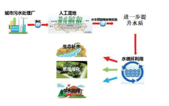 揭秘环保“小金库”生态环境专项资金政策大解读轻松get